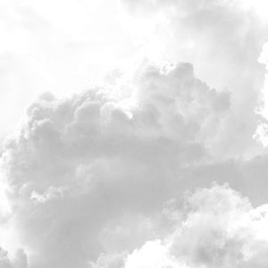 Meet your Posher, Abbey